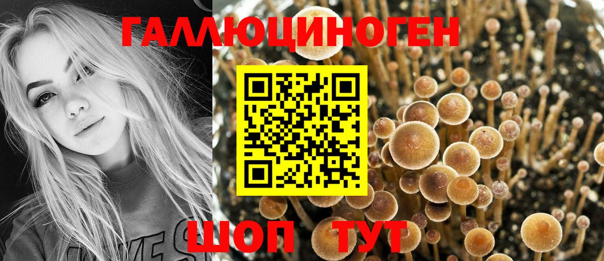 Галлюциногенные грибы GOLDEN TEACHER Дзержинский