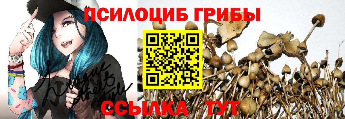 Псилоцибиновые грибы ЛСД  Вход с VPN  Дзержинский 